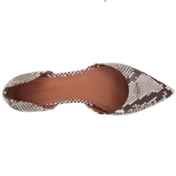 COACH Exotic Snakeskin Pointy Toe Flat Loafer - Picture 4 of 7